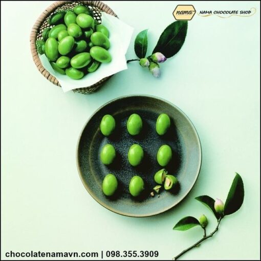 Nama Chocolate Matcha Almond - Hạt dẻ bọc trà xanh Nhật Bản