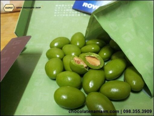 Nama Chocolate Matcha Almond - Hạt dẻ bọc trà xanh Nhật Bản