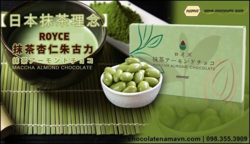 Matcha Almond Chocolate: Chocolate trà xanh tươi bọc hạnh nhân