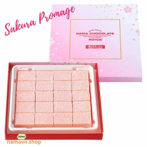 Nama chocolate Sakura Promage: Hương vị socola tươi cánh hoa anh đào