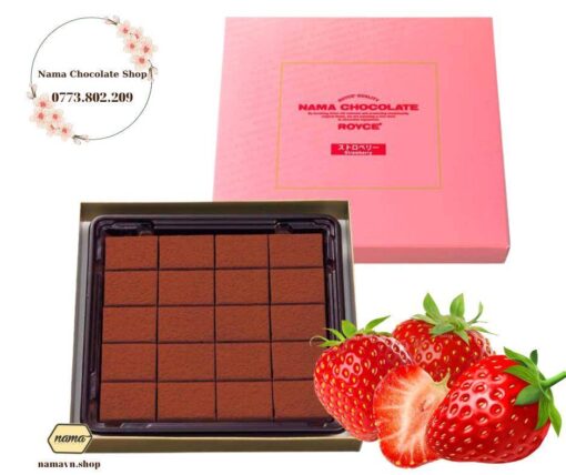 chocolate-strawberry-Royce-2023