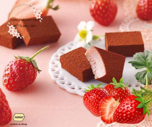 chocolate-strawberry-Royce-2023