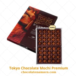 Tokyo Chocolate Mochi Premium