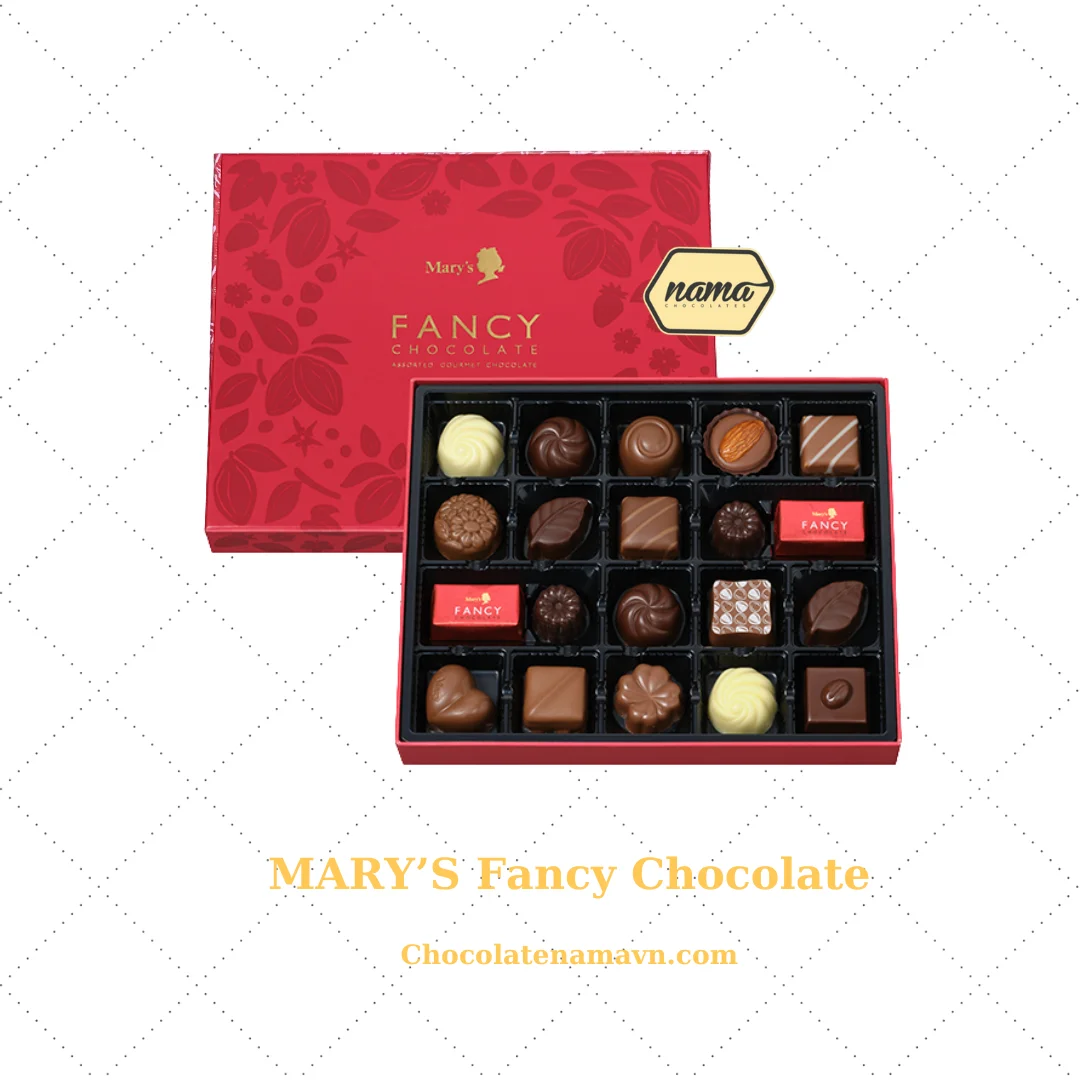 Fancy Chocolate 