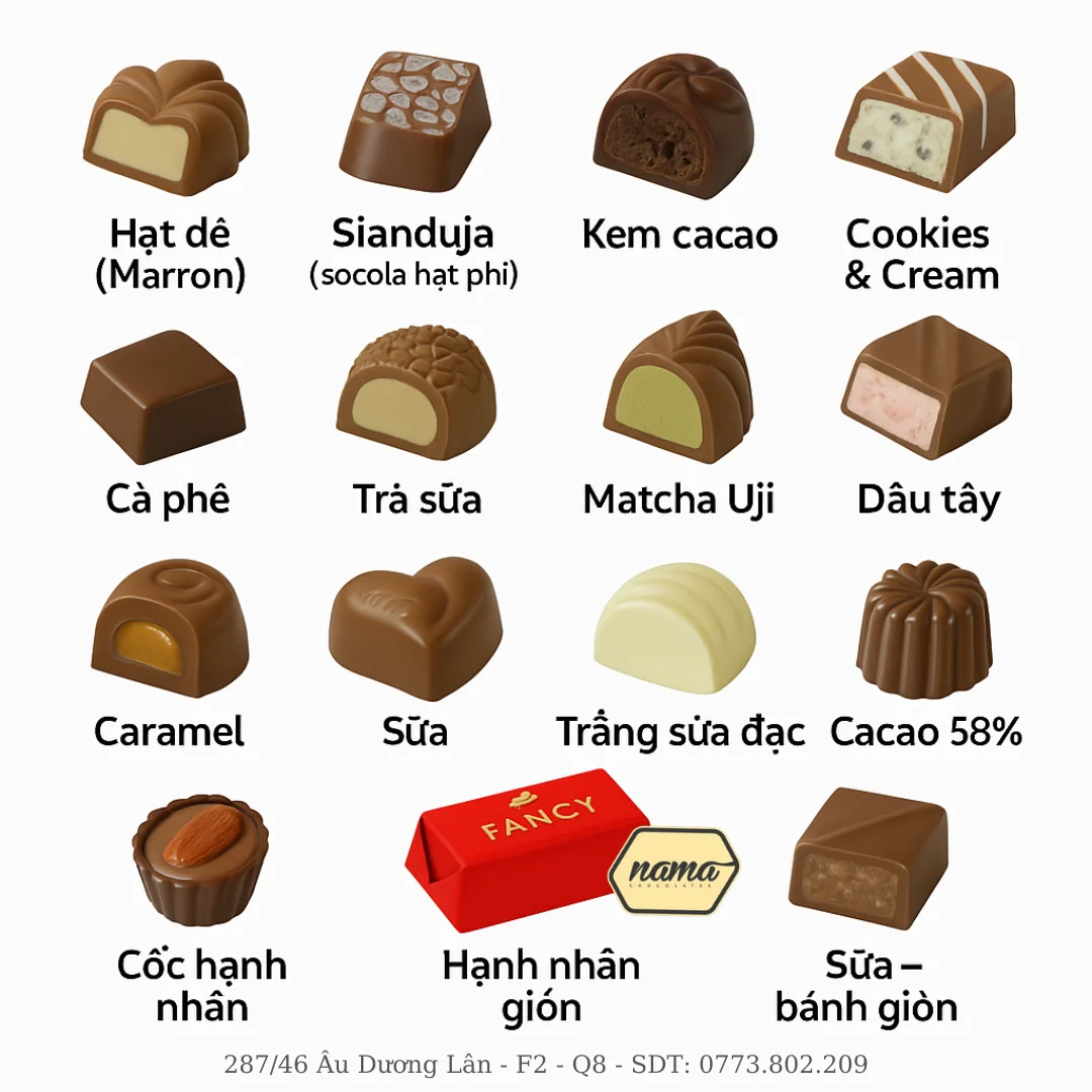 Fancy Chocolate 10 Fancy Chocolate